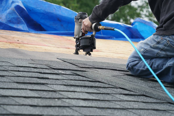 Roof Gutter Cleaning in La Grange Park, IL